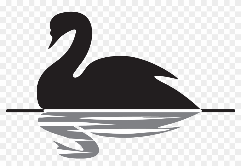 Swan Black And White Png #849274