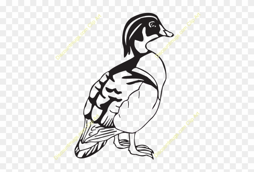 Duck Clipart Wood Duck - Clip Art Wood Duck #849283