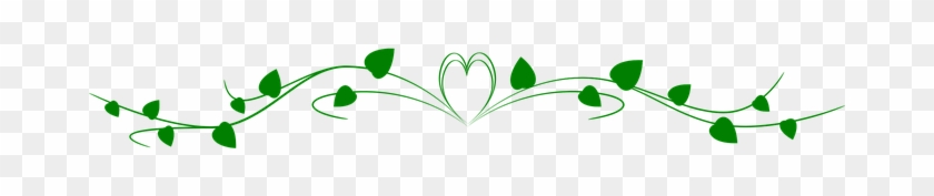 Ornament Heading Paradise Riflebird Nature - Ornament Heading Paradise Riflebird Nature #849691