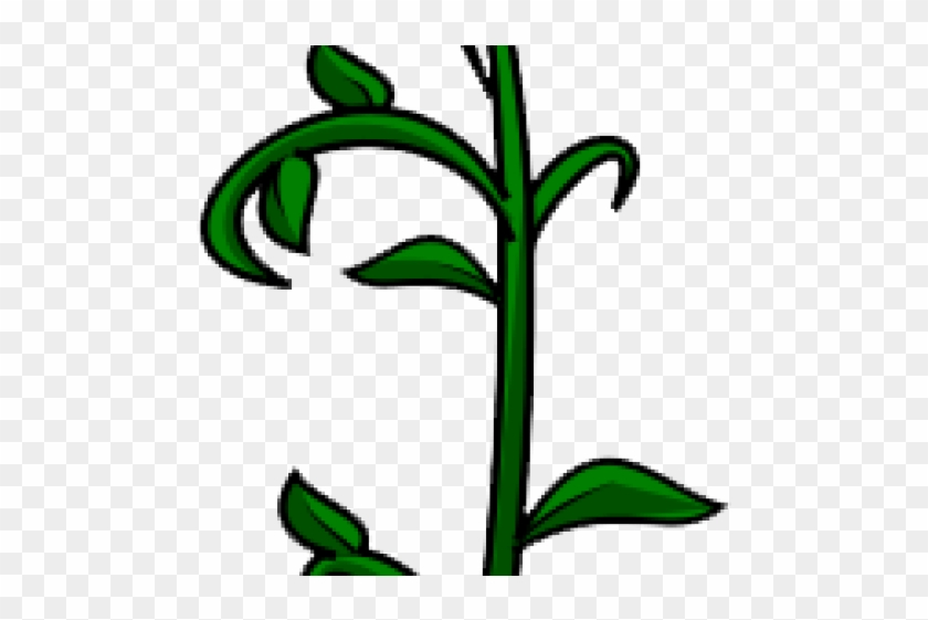 Vine Clipart Vine Plant - Vine Clipart Vine Plant #849698