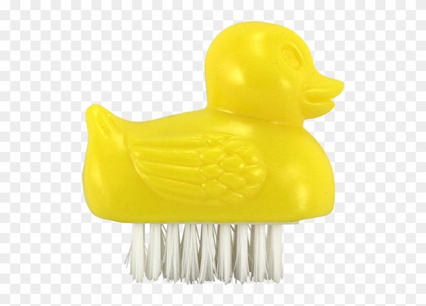 Small Animal Nail Brush - Duck #849724