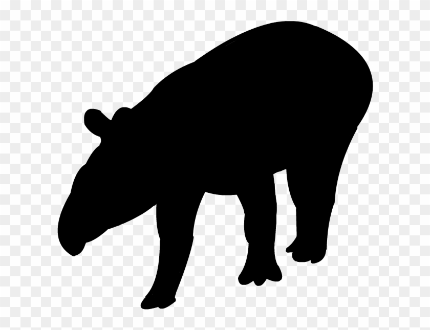 Andean Tapir Silhouette By Grandechartreuse - Tapir Silhouette #849744