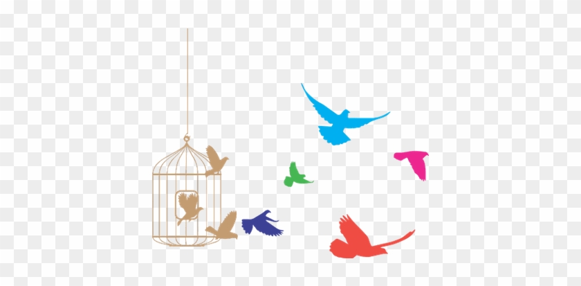 Bird Flying Out Of Cage #849747