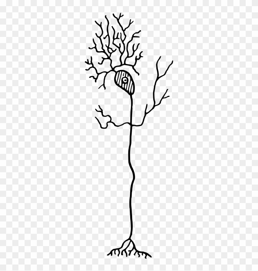 Medium Image - Neuron Clipart #850070