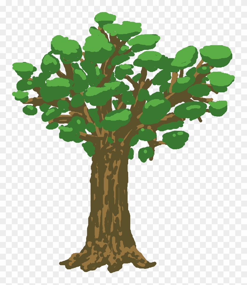 I Put Together The Parts Of The Player's Dryad, An - California Live Oak #850128