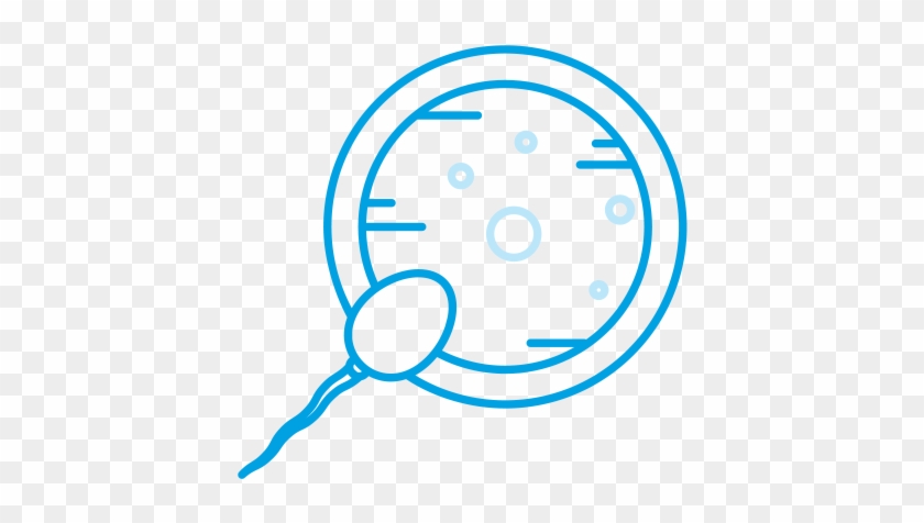 Follow-up, Nurse And Embryology - Embryology #850438