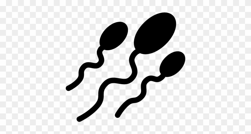 Three Sperms Vector - Three Sperm #850612
