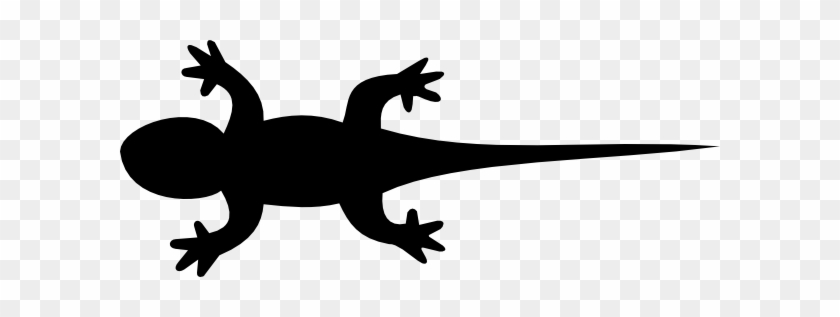 Gecko Silhouette - Silhouette Lizard #850730