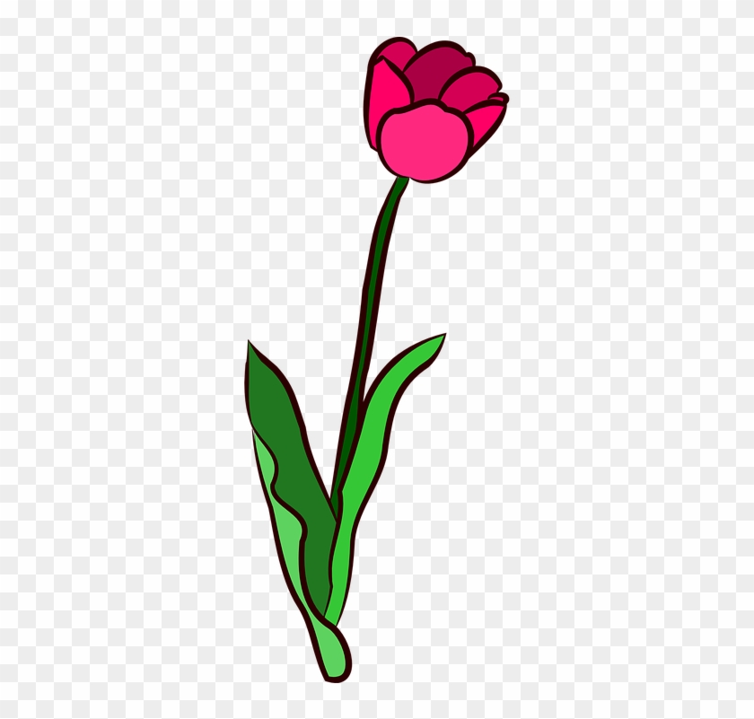 Yellow Tulip Cliparts 10, - Tulipan Rosa En Png #850795