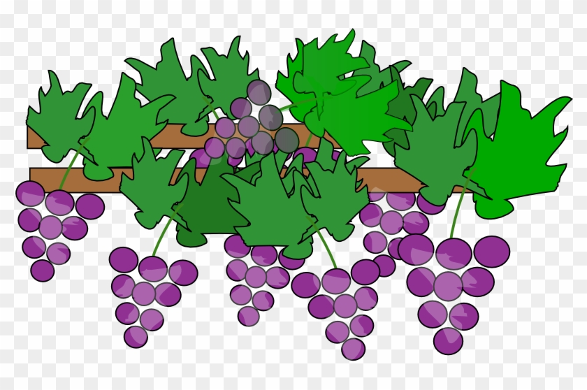 Clipart Grapes And Vines - Grape #851109