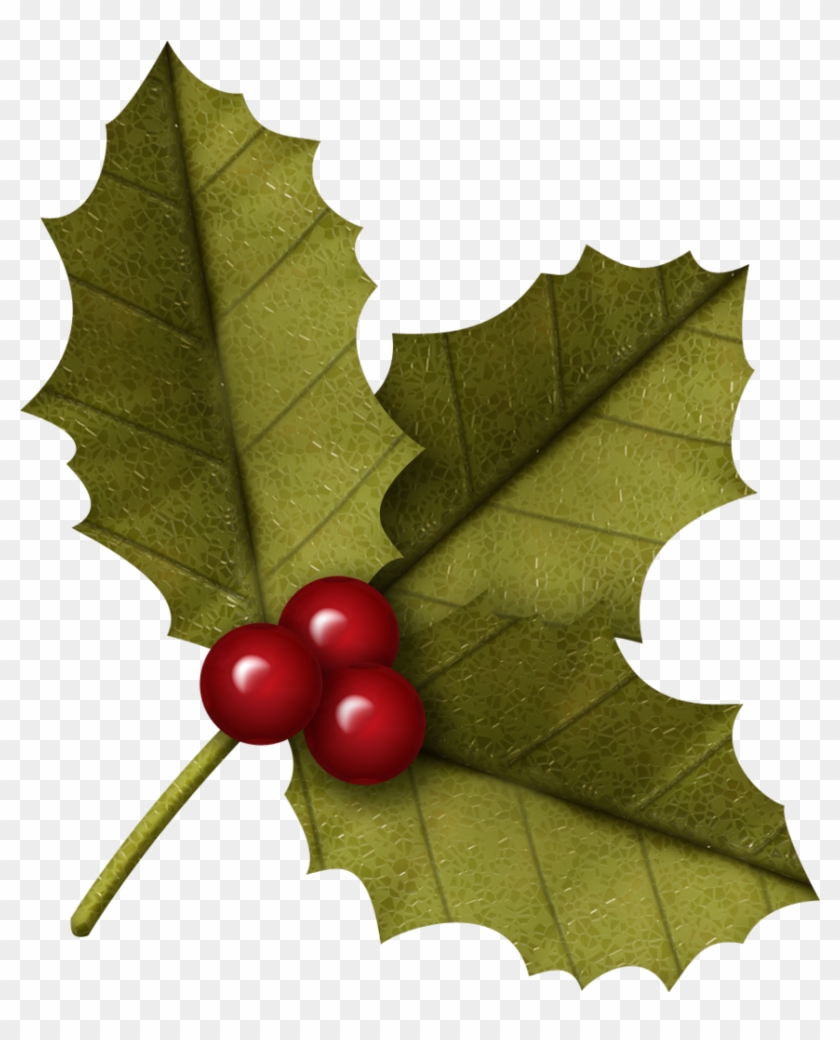 Houx Gui / - Leaves Christmas Clipart Png #851306