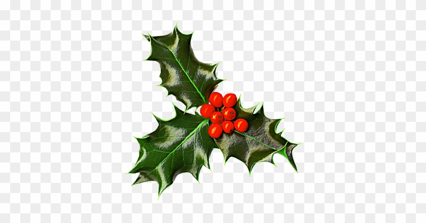 Christmas Day #851402