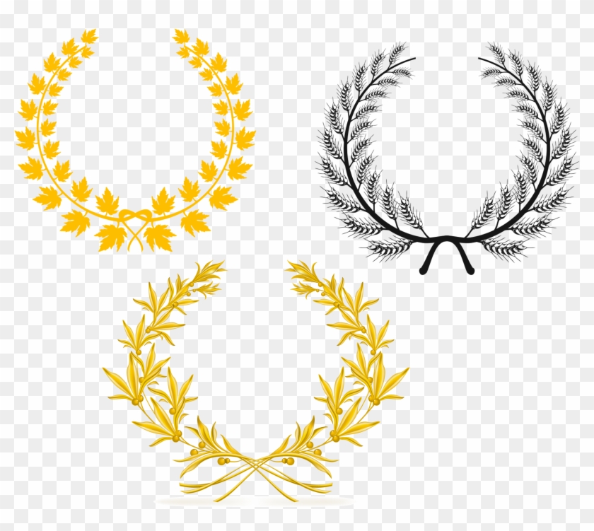 Olive Branch Laurel Wreath Olive Wreath - Olive Branch Vector #851638