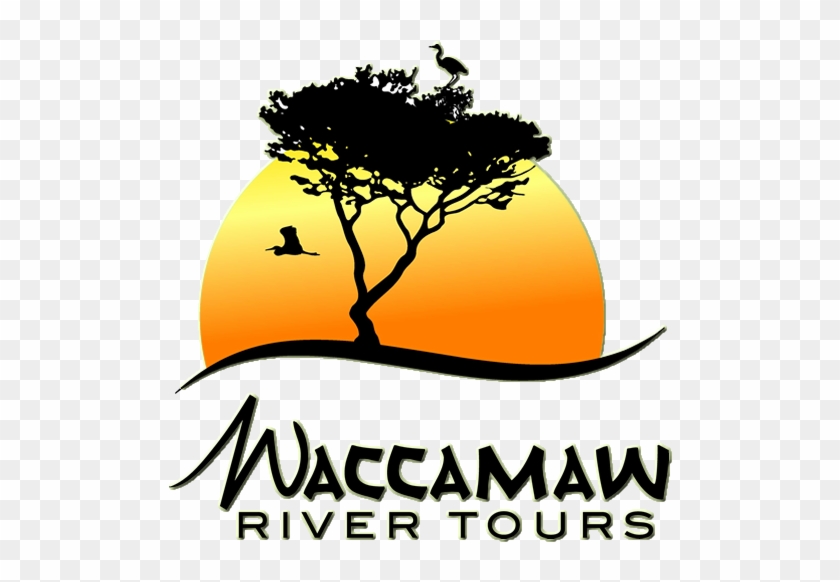 Waccamaw River Tours - Vincent Van Gogh Note Cards #851751