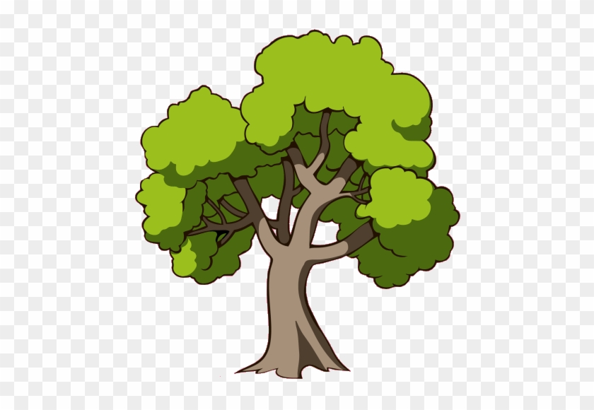 Dessin Arbre Couleur Verte Free Transparent Png Clipart Images Download