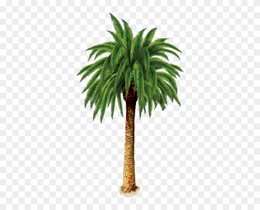 Palmier - Beistle Palm Tree Large Wall Cling #851979