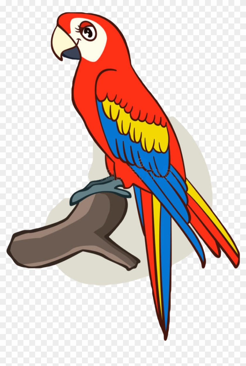 Parrot Kawaii Cute Blue Bird Pirate Yellow Beak Animal - Perroquet Dessin #852077