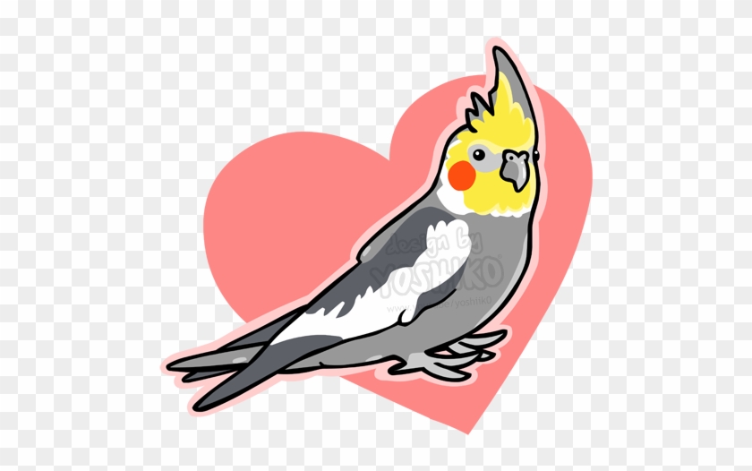 Cockatiel Sticker By Yoshik0-animation - Cartoon Cockatiel #852083