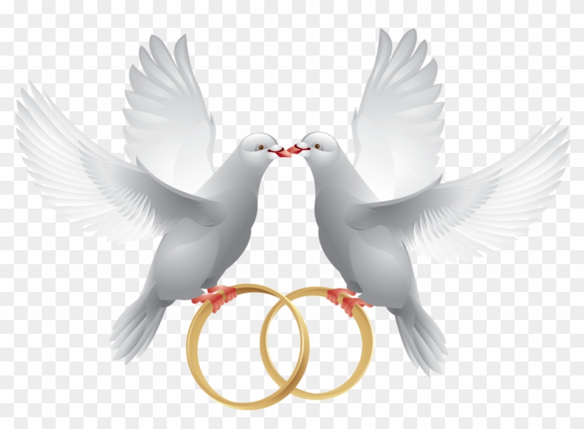 Pombinhas Com Alianças - Wedding Doves With Rings #852107