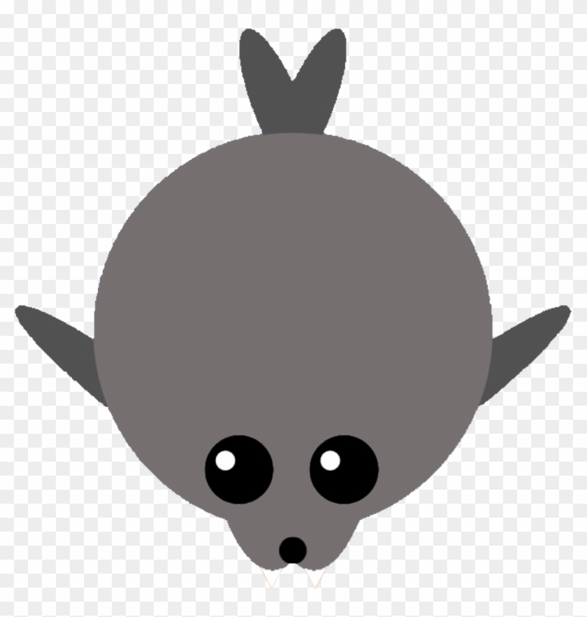 [contest] Leopard Seal - Rabbit #852118