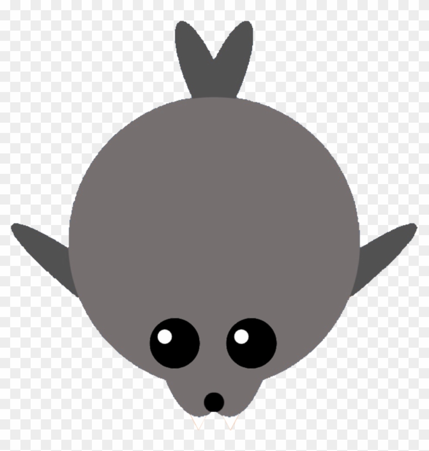 [contest] Leopard Seal - Rabbit #852118