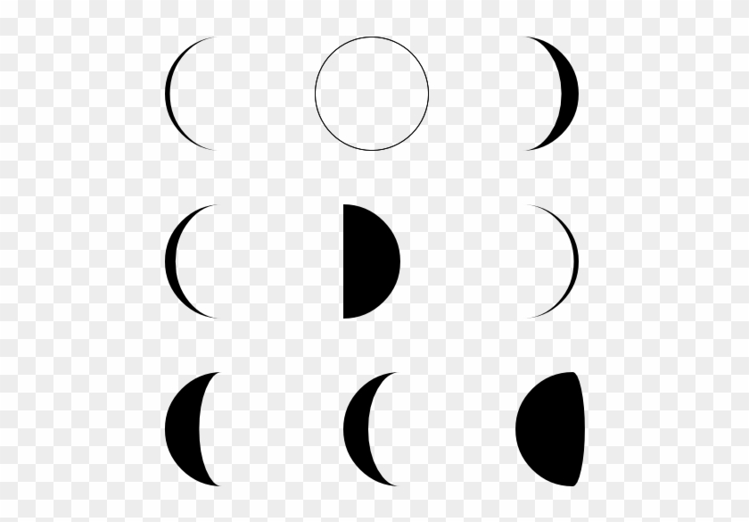 Moon Phase - Moon Phases Vector - Free Transparent PNG Clipart Images  Download