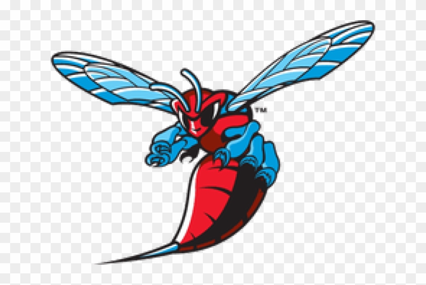 Football Ticket Information - Delaware State University Hornets Logo #852242