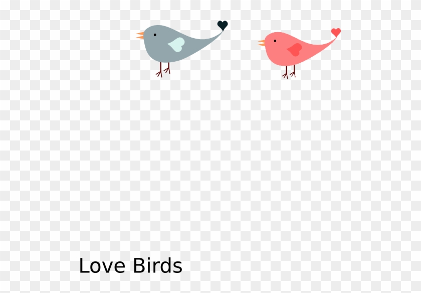 Love Bird Clip Art At Clker Com Vector Online Royalty - Clip Art #852328