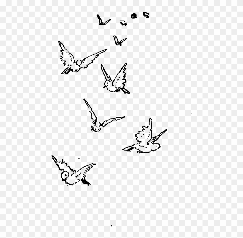 Lovebird Clipart Wedding Band - Flock Birds Flying Drawing #852337