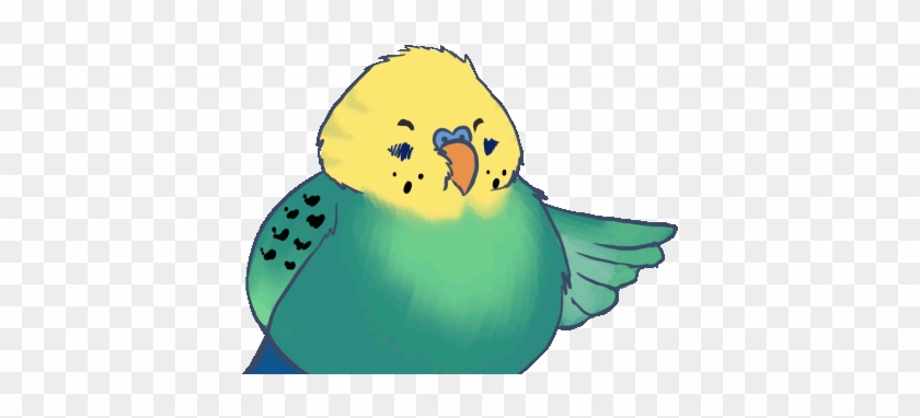 Budgie Clipart Clip Art - Animated Budgie Gif #852430