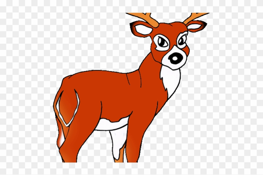 White Tailed Deer Clipart - Clip Art #852481
