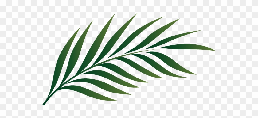 Leafy Branch Clip Art - Palm Tree Leaf Clipart #852536