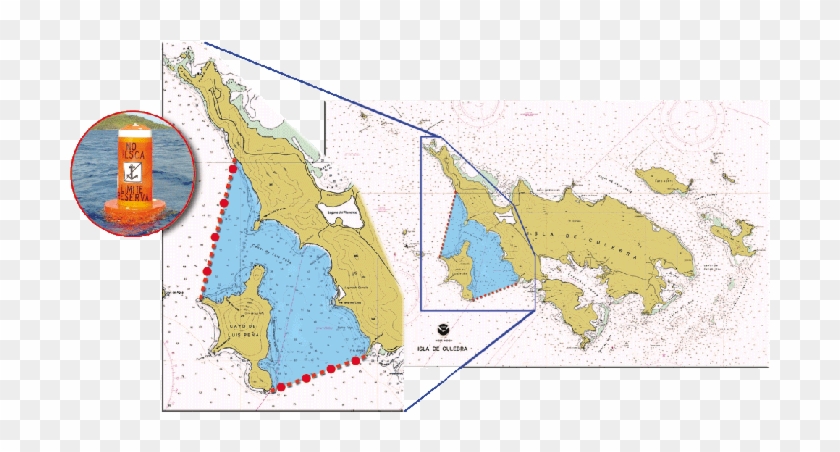 The Luis Peña Channel Natural Reserve Was Proposed - Reserva Natural Canal Luis Peña #852554