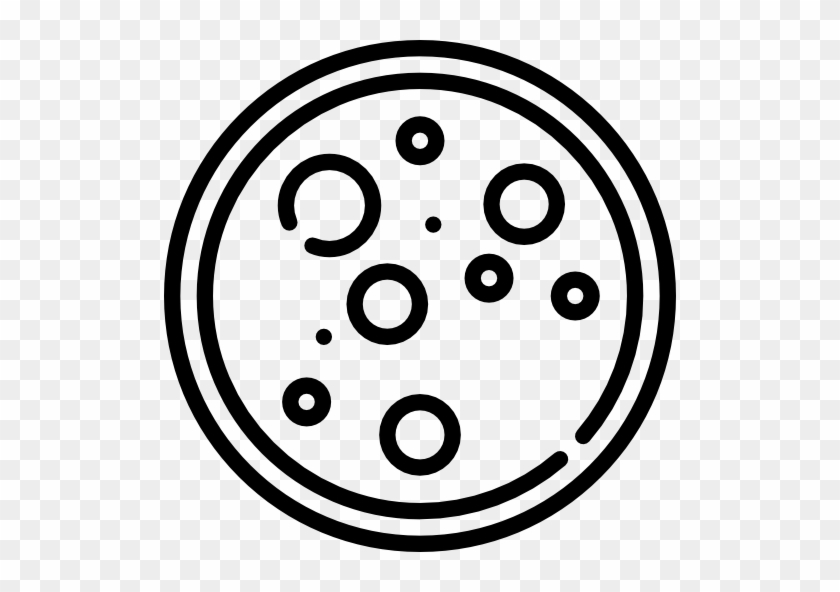 Petri Dish Free Icon - Petri Dish Icon #852605