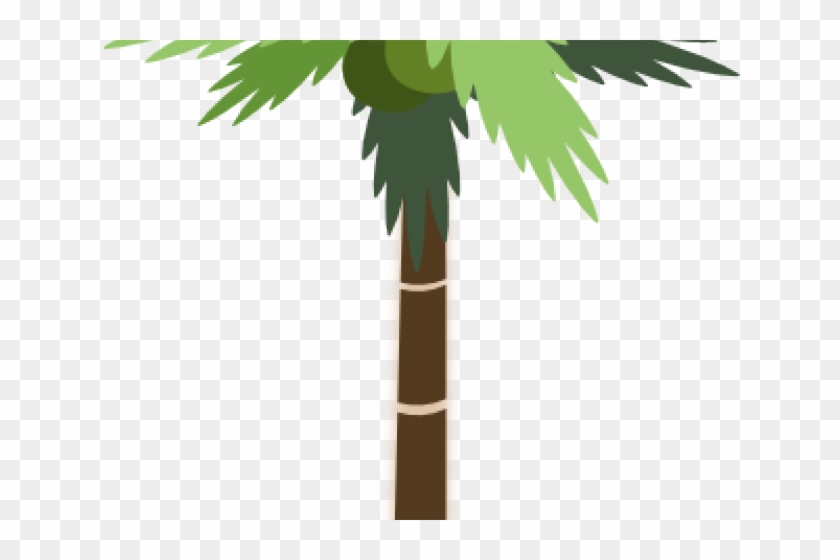 Palm Tree Clipart Tall Short Tree - Palm Tree Clip Art #852784