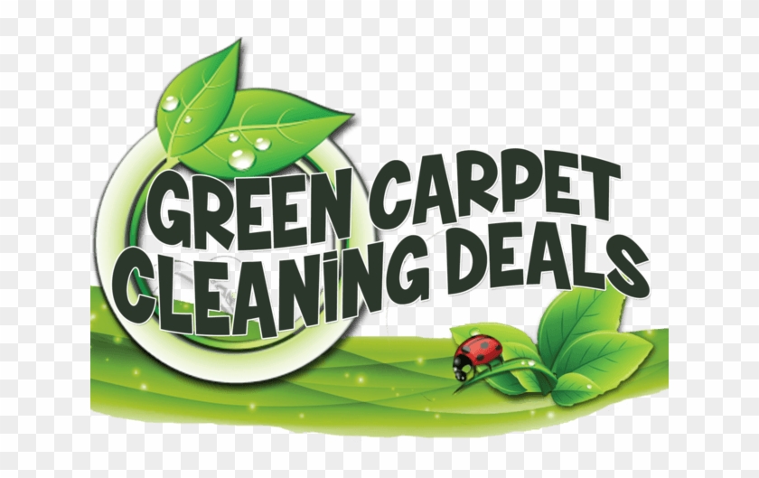 Professional Carpet Cleaning, Steam Carpet Cleaning - Carpet Cleaning #852824