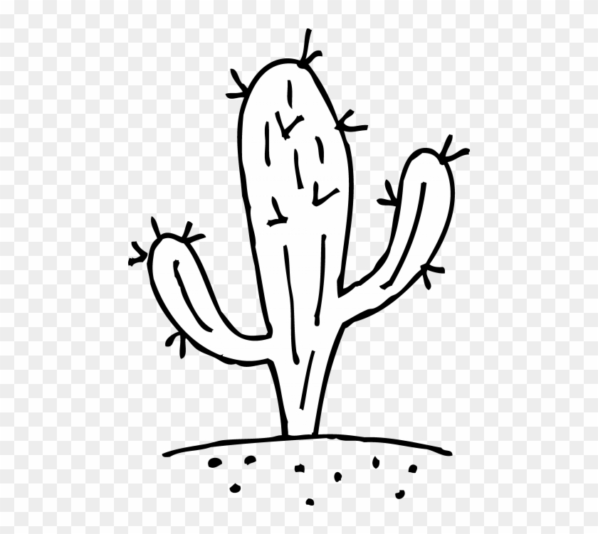 Prickly Cactusing Page Free Clip Art Cactus 2 Coloring - Cactus Black And White #852830