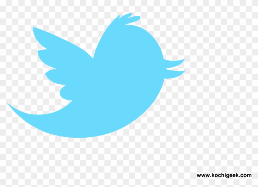 New Twitter Bird Vector Download - Twitter Logo Png Transparent Background #852959