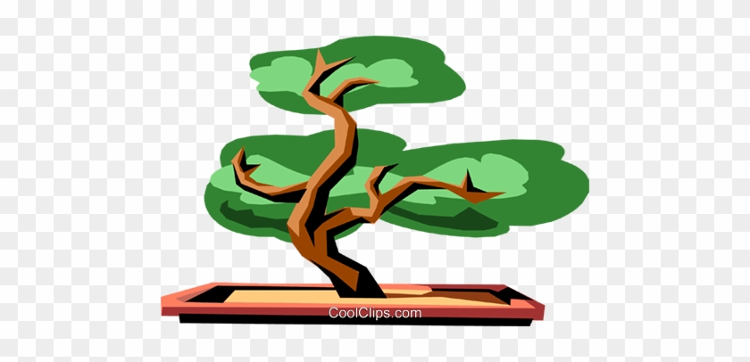 Bonsai Tree Clipart - Bonsai Tree Clipart #853210