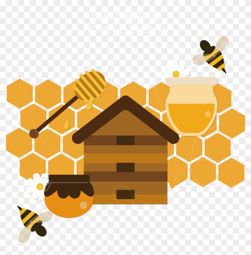 Honey Bee Honeycomb - Bee #853458