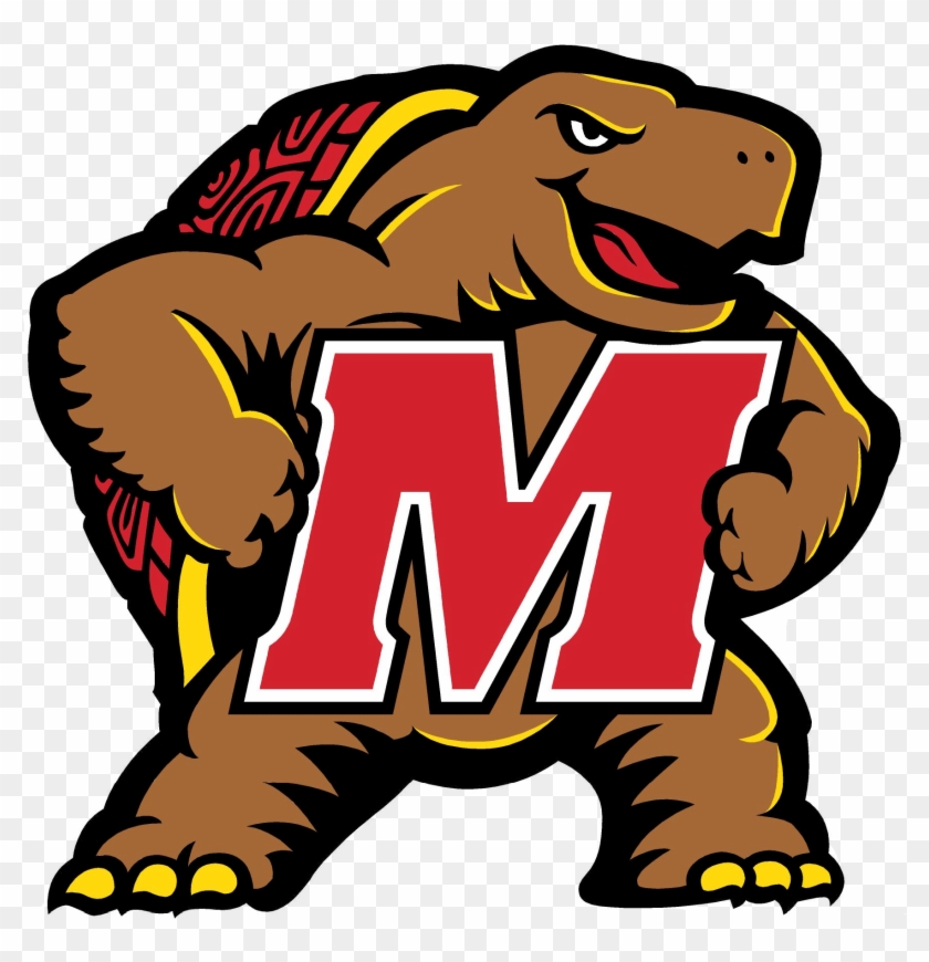 University Of Maryland Fear The Turtle - University Of Maryland Mascot #853488