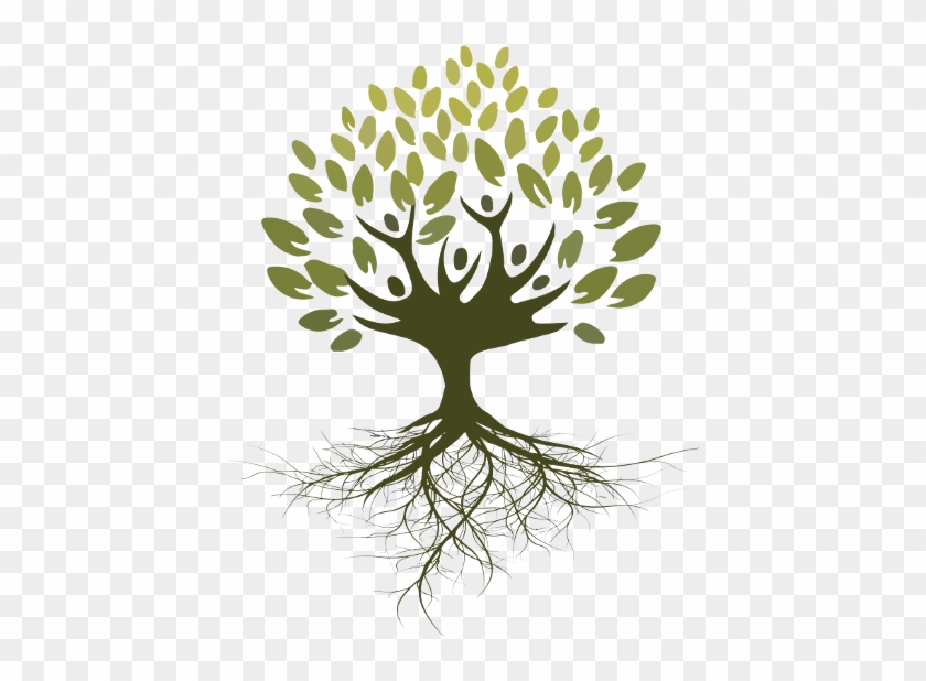 Asociaci N Ra Ces For Dibujo De Arbol Con Raices Y - Arbol Con Raices Png #853686