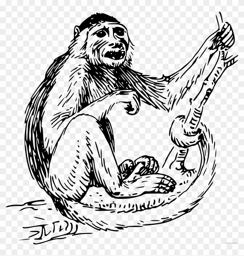 Black And White Monkey Animal Free Clipart Images Clipartblack - Black And White Monkey Animal Free Clipart Images Clipartblack #853714