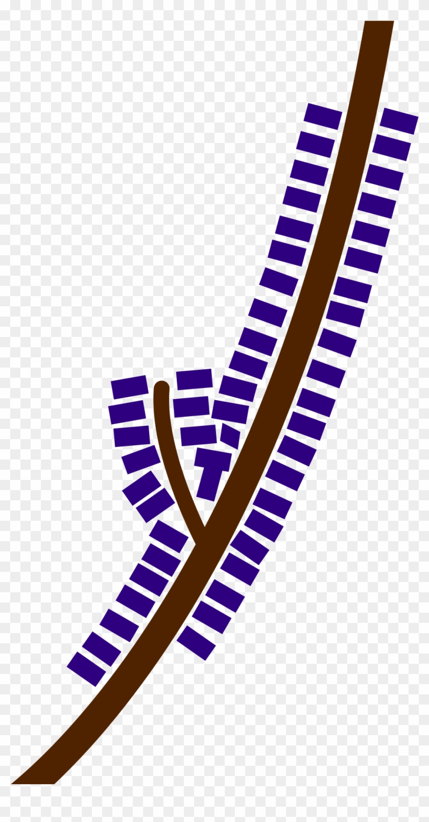 Ribbon Development #853782