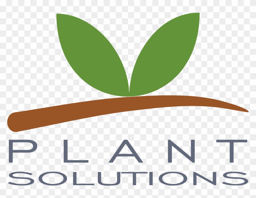 Best Plants In The Industry - Plants #853991