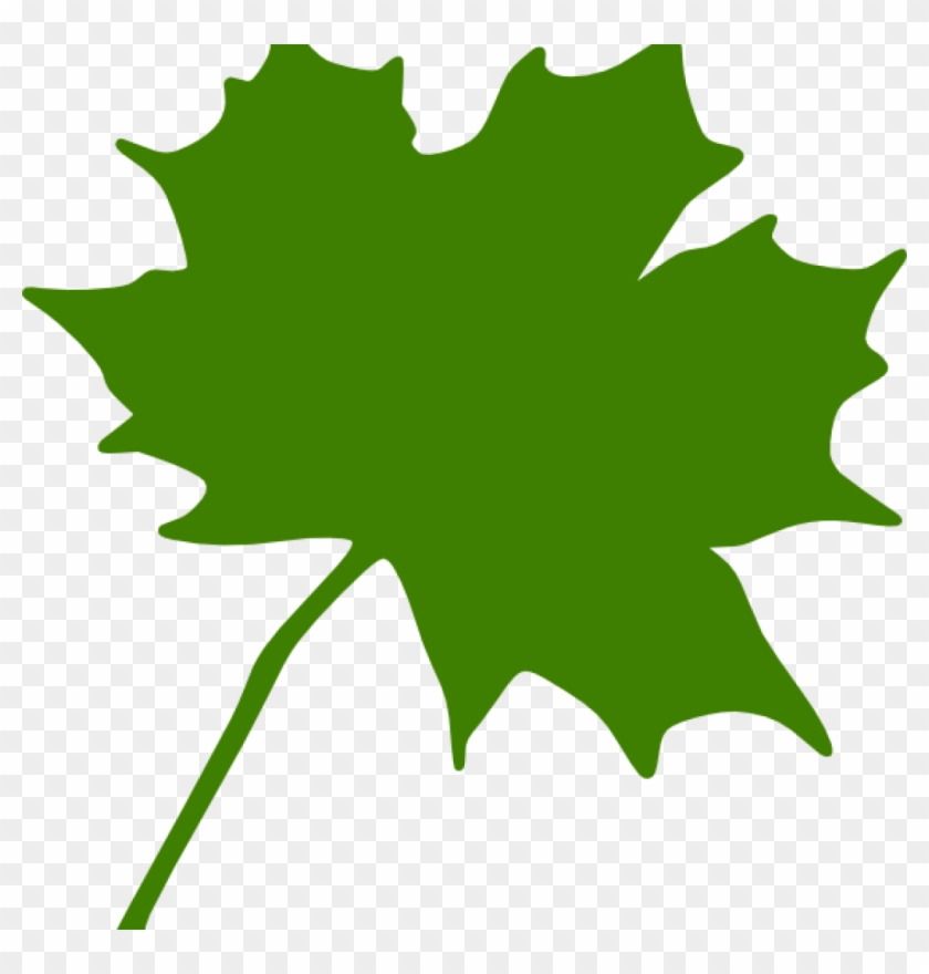 Maple Leaf Clipart Green Clip Art At Clker Vector Online - Maple Leaf Clipart Green Clip Art At Clker Vector Online #854206