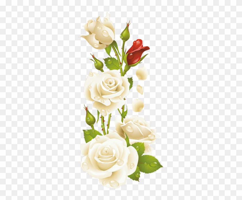 الأحد، 3 مايو - White Rose Frame Png #854268