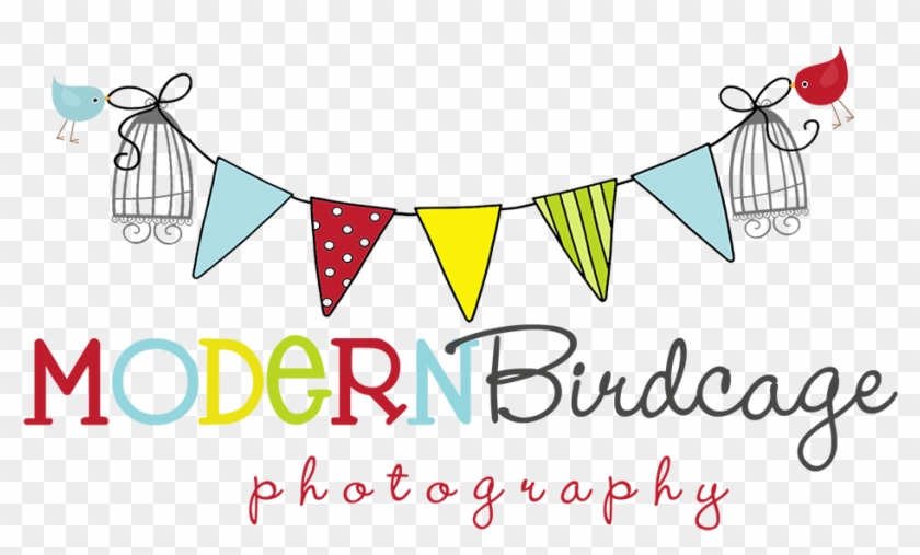 Modern Birdcage Photography - Cute Bird Cage Png #854512