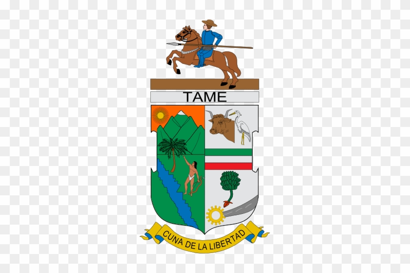 133 × 240 Pixels - Escudo De Tame Arauca #854527