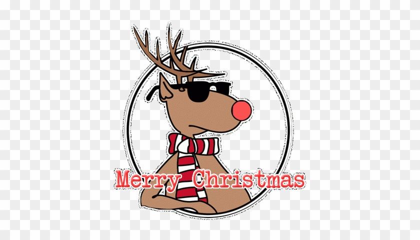 Best Best Photography Logos Cool Reindeer Sunglasses - Funny Merry Christmas Gifs #854582